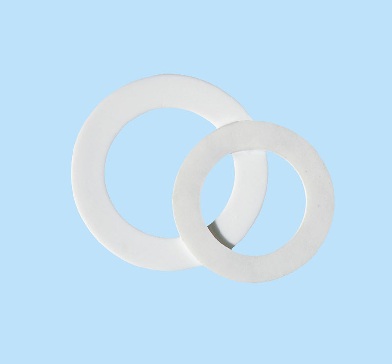 PTFE gasket