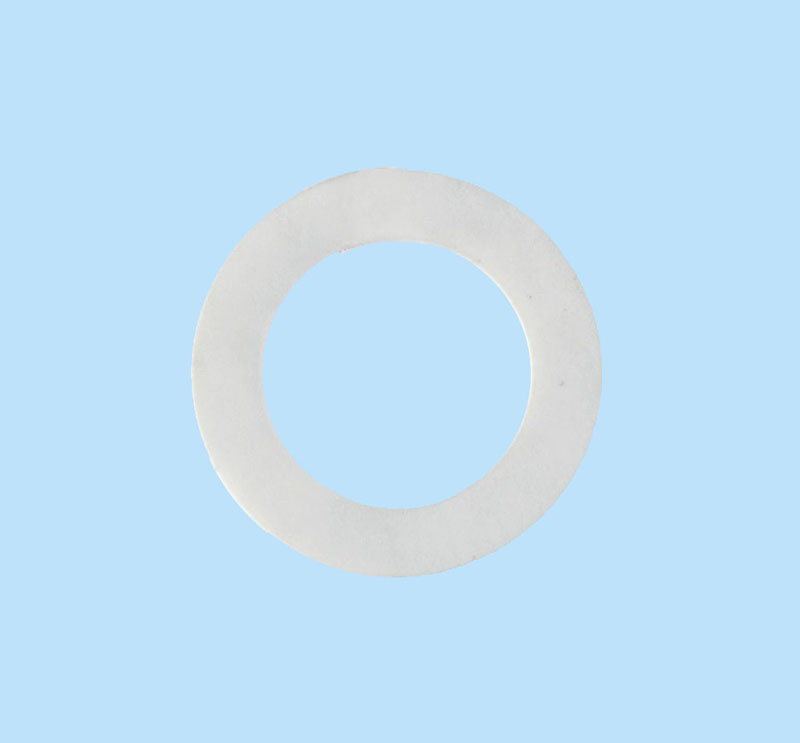 PTFE gasket